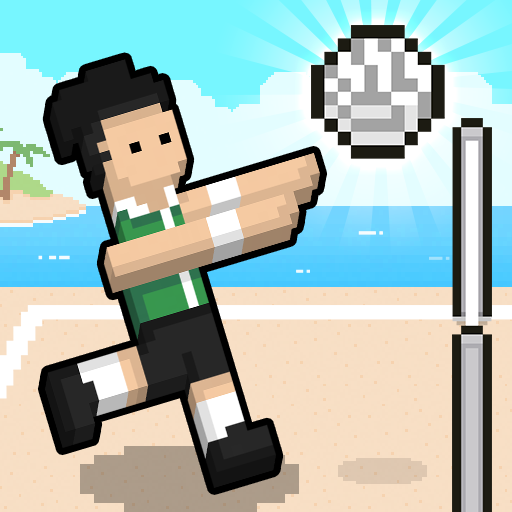Volley Random logo